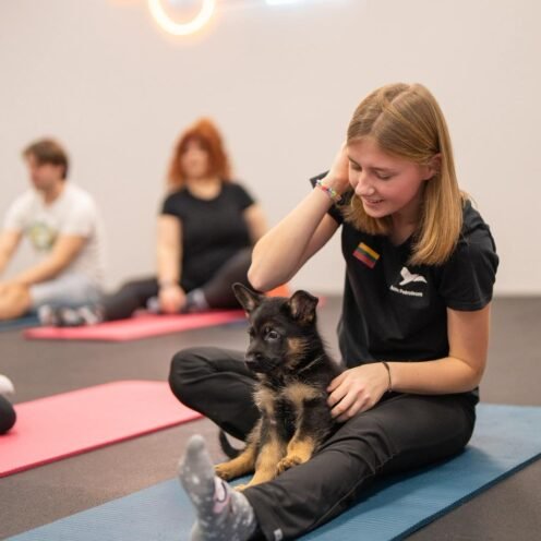 NUOLAIDA Jogai su vokiečių aviganiais Vilniuje