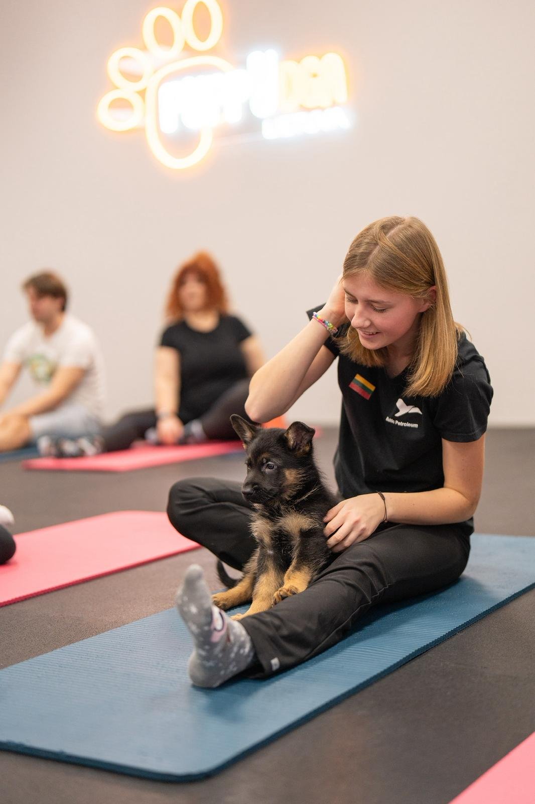 NUOLAIDA Jogai su vokiečių aviganiais Vilniuje