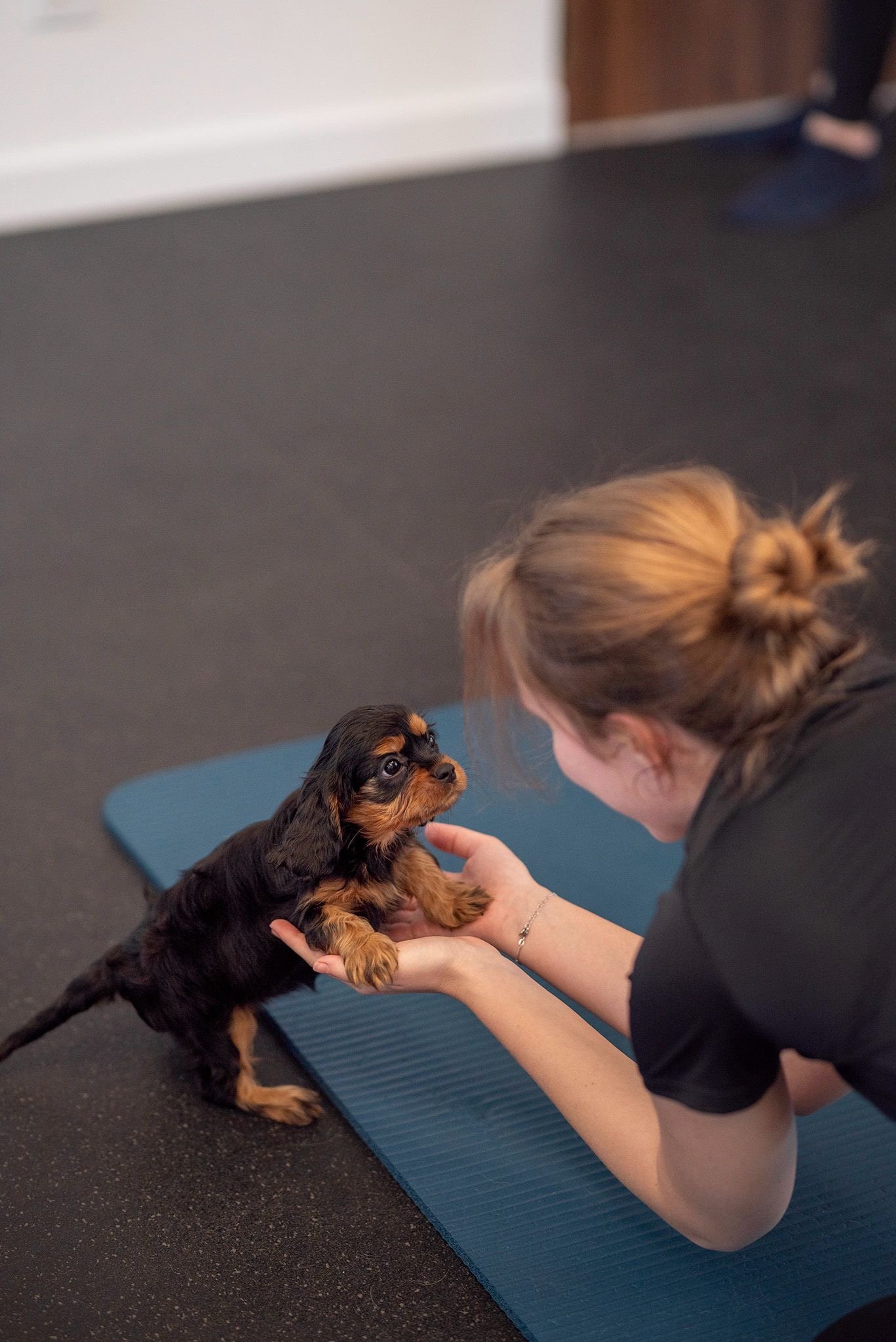 Joga su Kavalieriaus Karolio spanieliais Vilniuje