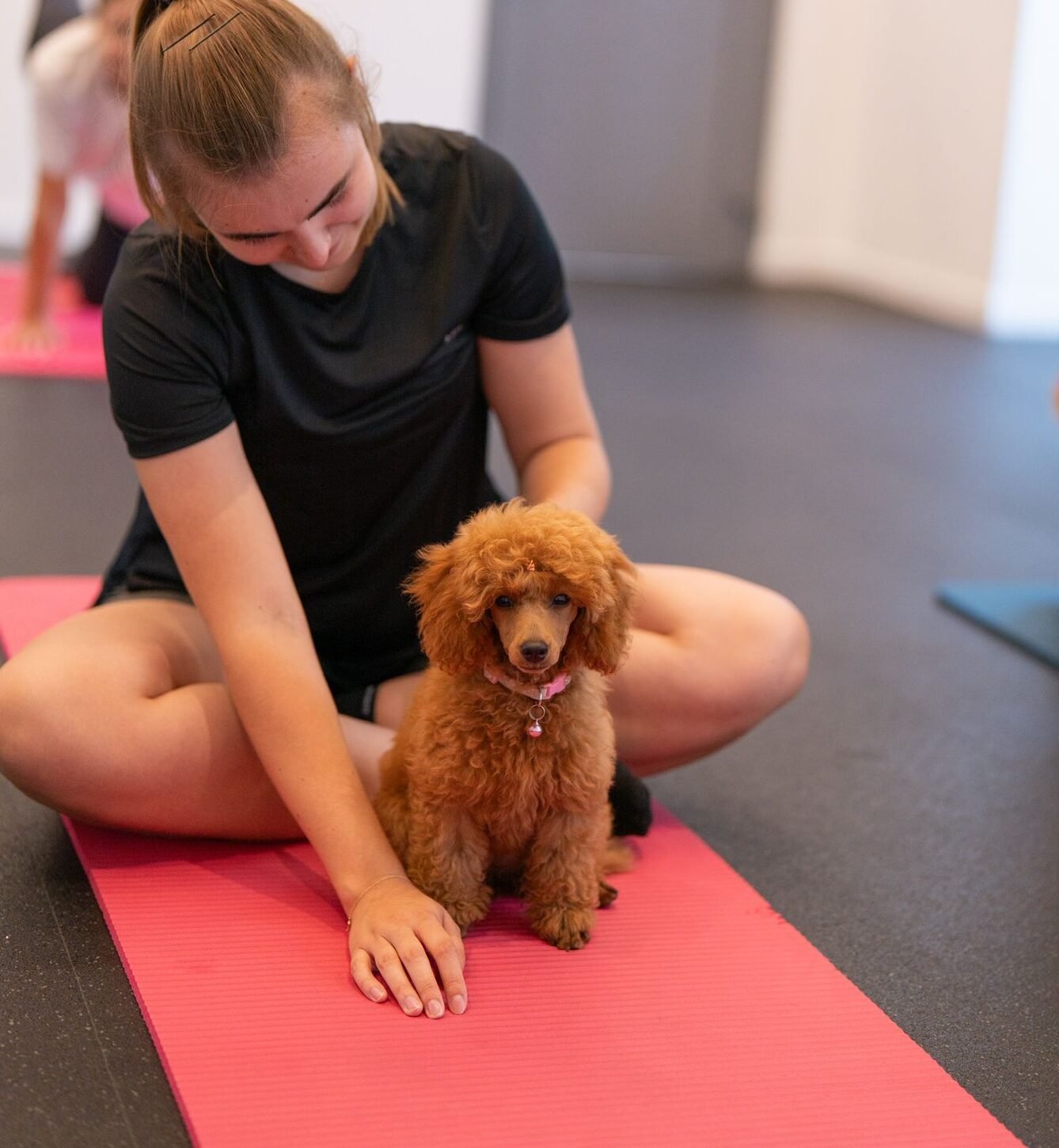 Joga su nykštukiniais pudeliais Kaune