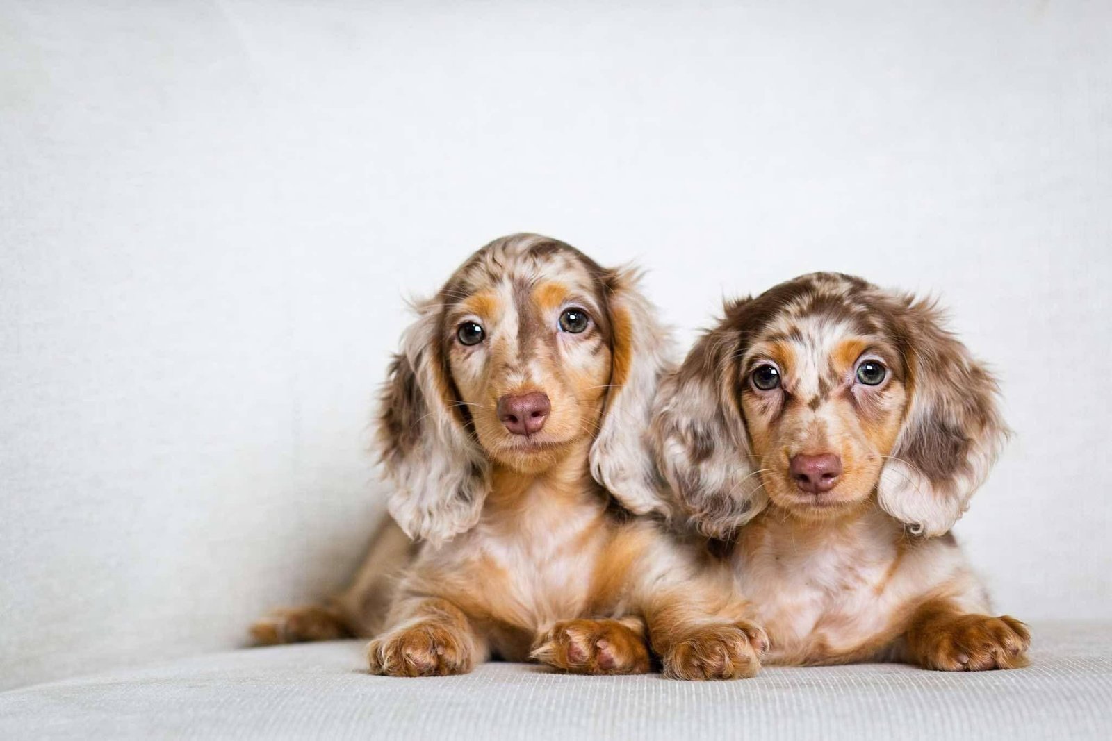 Joga su taksais Vilniuje