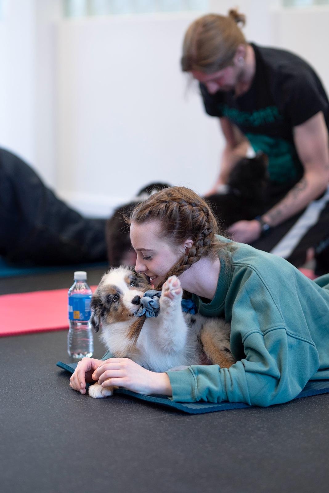 Joga su Australų aviganiais Kaune