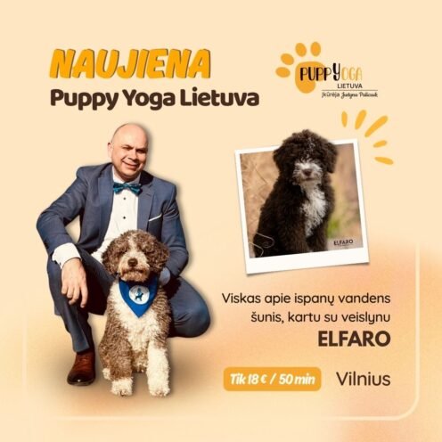 Edukacija su Ispanų vandens šunų veislynu Vilniuje