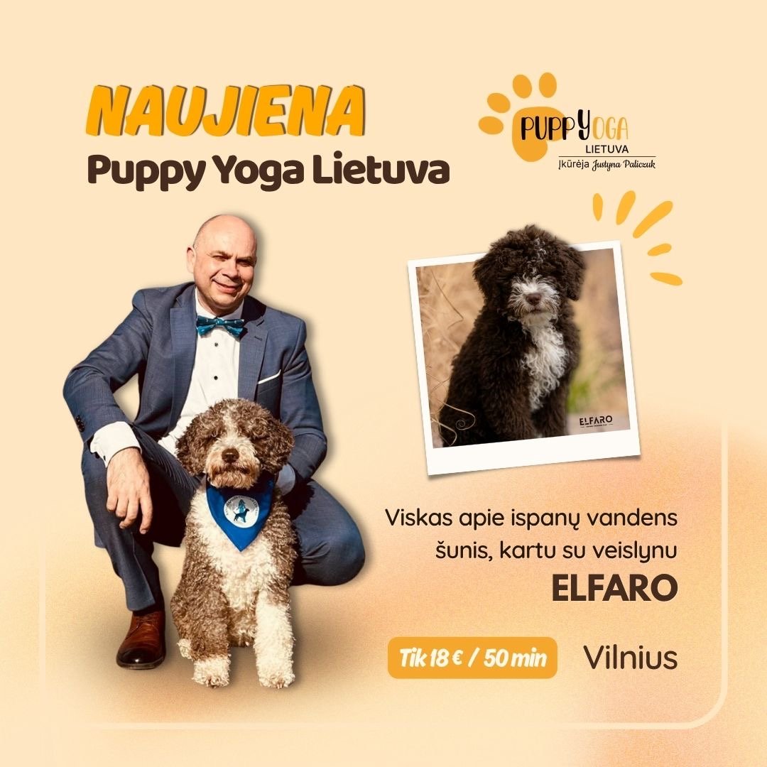 Edukacija su Ispanų vandens šunų veislynu Vilniuje